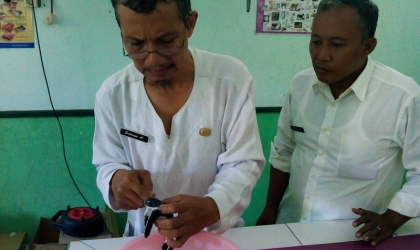 Pemeriksaan Tukik Hijau