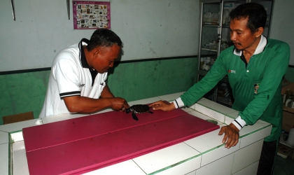 Pemeriksaan Tukik Sisik