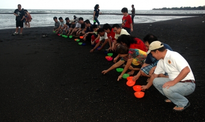 Pelepasliaran Tukik Bersama Umat TITD Tik Liong Tian Rogojampi