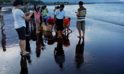 Pelepasliaran Tukik Bersama Umat Vihara Samatha Dhika Dharma