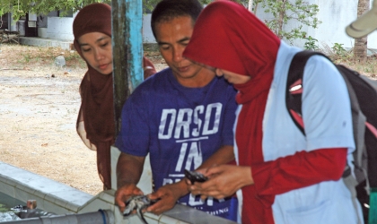 Pemeriksaan Kesehatan Tukik