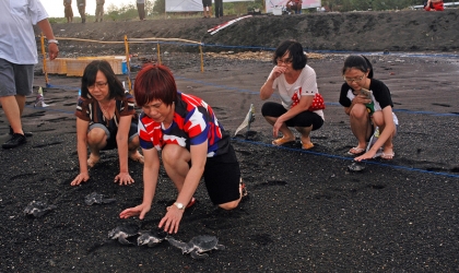 Pelepasliaran Tukik Bersama Umat TITD Tik Liong Tian Rogojampi