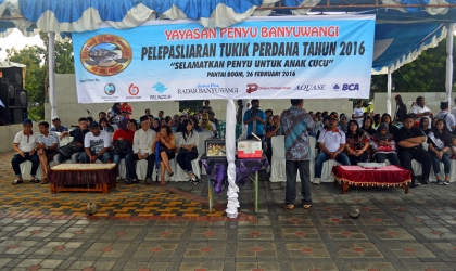 Pelepasliaran Tukik Perdana di Tahun 2016 1