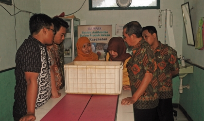 Pemeriksaan Kesehatan Penyu di Dinas Peternakan Banyuwangi
