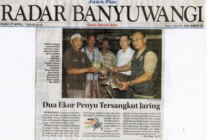 Penyelamatan Penyu di Pantai Wongsorejo