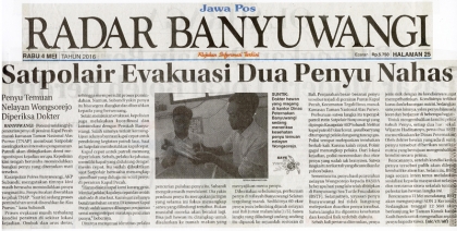 Pemeriksaan Kesehatan Penyu di Dinas Peternakan Banyuwangi