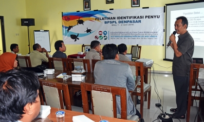 BSTF di Undang untuk mewakili propinsi Jawa Timur sebagai neumerator penyu di kawasan Banyuwangi