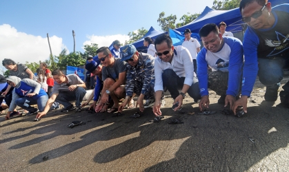 Pelepasliaran Tukik Bersama Sumber Yala