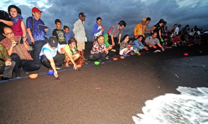 Pelepasliaran Tukik Bersama Dokter ASI