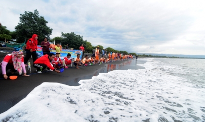 Pelepasliaran Tukik Bersama Indofood