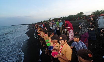 Pelepasliaran Tukik Bersama Pramuka