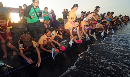 Pelepasliaran Tukik Bersama Pramuka