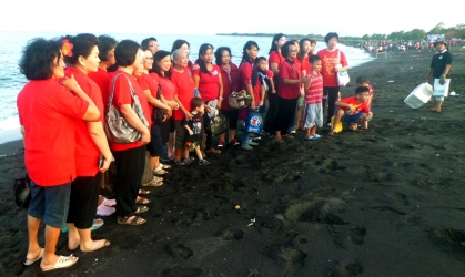 Pelepasliaran Tukik Bersama Anggota Gereja