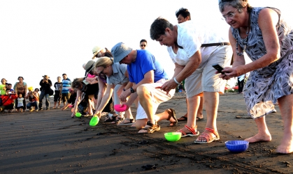 Pelepasliaran Tukik Bersama Warga USA