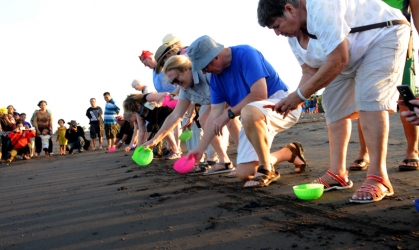 Pelepasliaran Tukik Bersama Warga USA