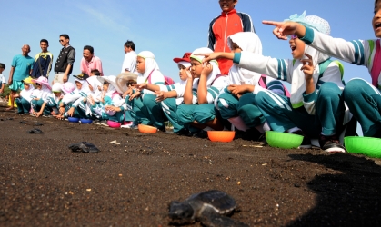 Pelepasliaran Tukik Bersama Siswa SD Al Khairriyah