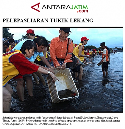 Pelepasliaran Tukik Bersama Lion Club