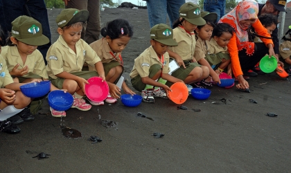 Pelepasliaran Tukik Bersama Perhutani