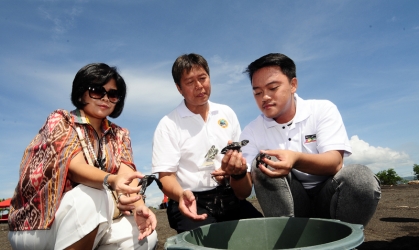 Pelepasliaran Tukik Bersama Danang