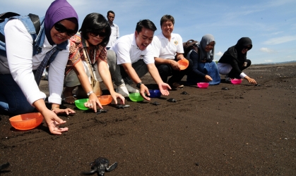 Pelepasliaran Tukik Bersama Danang