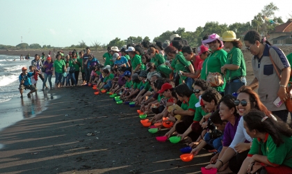 Pelepasliaran Tukik Bersama Gereja GPIB Jawa Timur