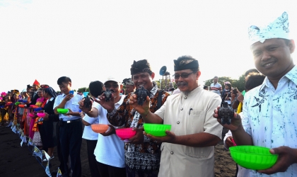 Pelepasliaran Tukik Memperingati Sumpah Pemuda