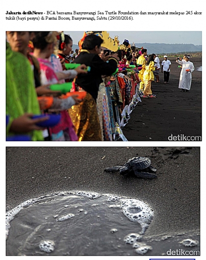 Pelepasliaran Tukik Memperingati Sumpah Pemuda