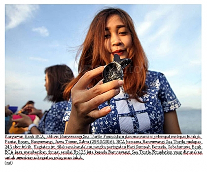 Pelepasliaran Tukik Memperingati Sumpah Pemuda