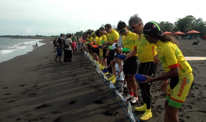 Pelepasliaran Tukik Bersama Antangin