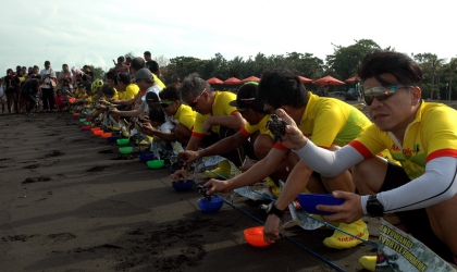 Pelepasliaran Tukik Bersama Antangin