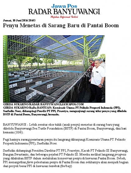 Pelepasliaran Tukik Bersama Komisaris PPI Bapak Saefuddin