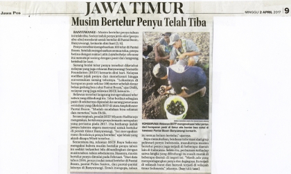 Menemukan Penyu Bertelur di Pantai Boom