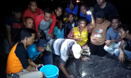 Menemukan Penyu Bertelur di Pantai Cacalan