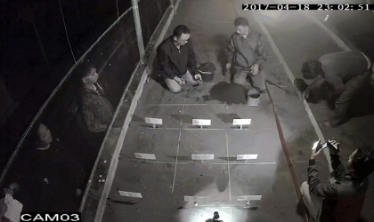 Menemukan Penyu Bertelur di Pantai Boom