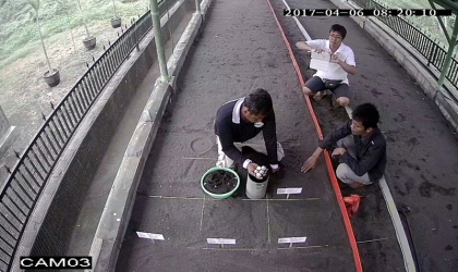 Menemukan Penyu Bertelur di Pantai Mirah