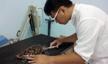 Pemeriksaan Penyu Sakit Dr. Aditya