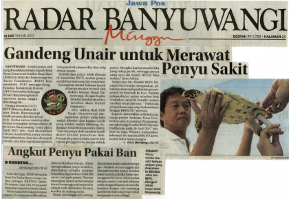 Pemeriksaan Penyu Sakit Dr. Aditya