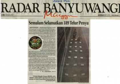 Menemukan Punya Bertelur di Pantai Boom