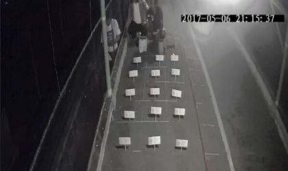 Menemukan Punya Bertelur di Pantai Boom