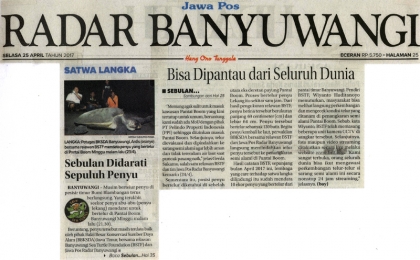 Menemukan Punya Bertelur di Pantai Boom