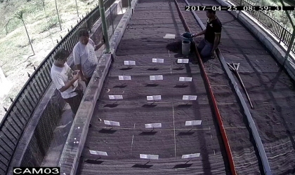 Menemukan Punya Bertelur di Pantai Pulau Santen