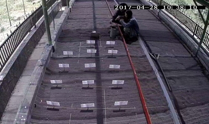 Menemukan Punya Bertelur di Pantai Pulau Santen