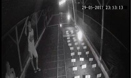 Menemukan Penyu Bertelur di Pantai Sobo