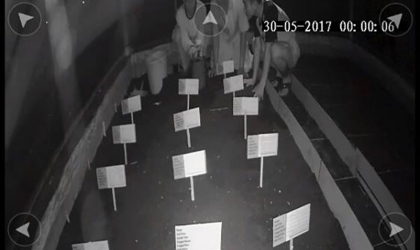 Menemukan Penyu Bertelur di Pantai Sobo