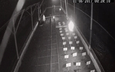 Menemukan Penyu Bertelur di Pantai Boom