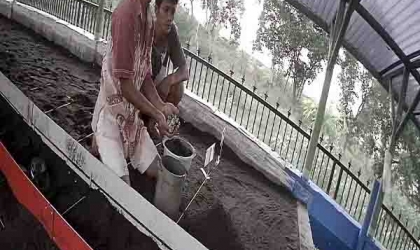 Menemukan Penyu Bertelur di Pantai Mirah