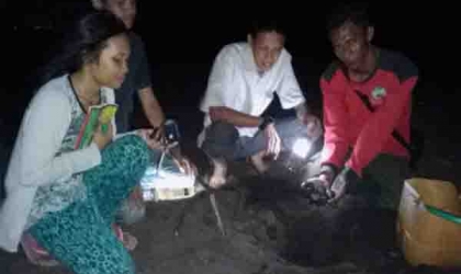 Menemukan Penyu Bertelur di Pantai Boom