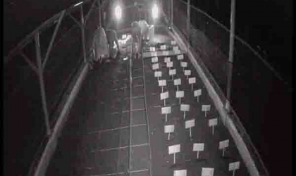 Menemukan Penyu Bertelur di Pantai Kramat