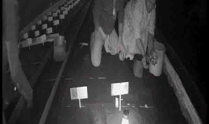 Menemukan Penyu Bertelur di Pantai Kramat