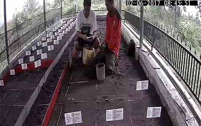 Menemukan Penyu Bertelur di Pantai Boom